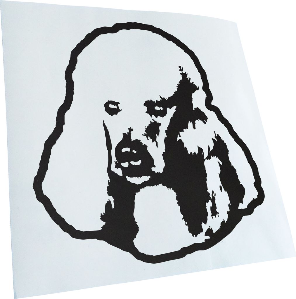 Kiwistar - Autoaufkleber - Poodle Hund - Mattschwarz - 40x36cm - Aufkleber für Auto, Laptop, Fahrrad, LKW, Motorrad mehrfarbig JDM Decal Racing