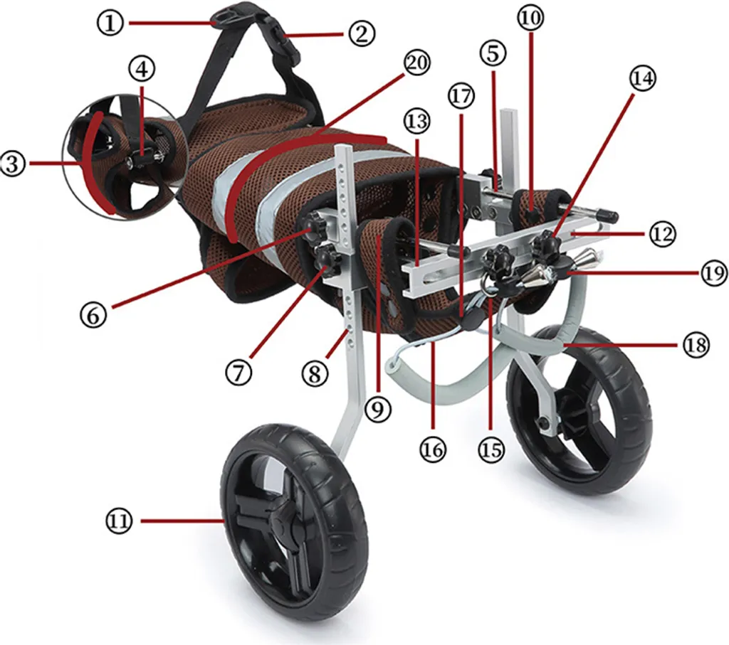 Solution Mobilité Chien Handicapé : Déambulateur Réglable à deux Roues - 7