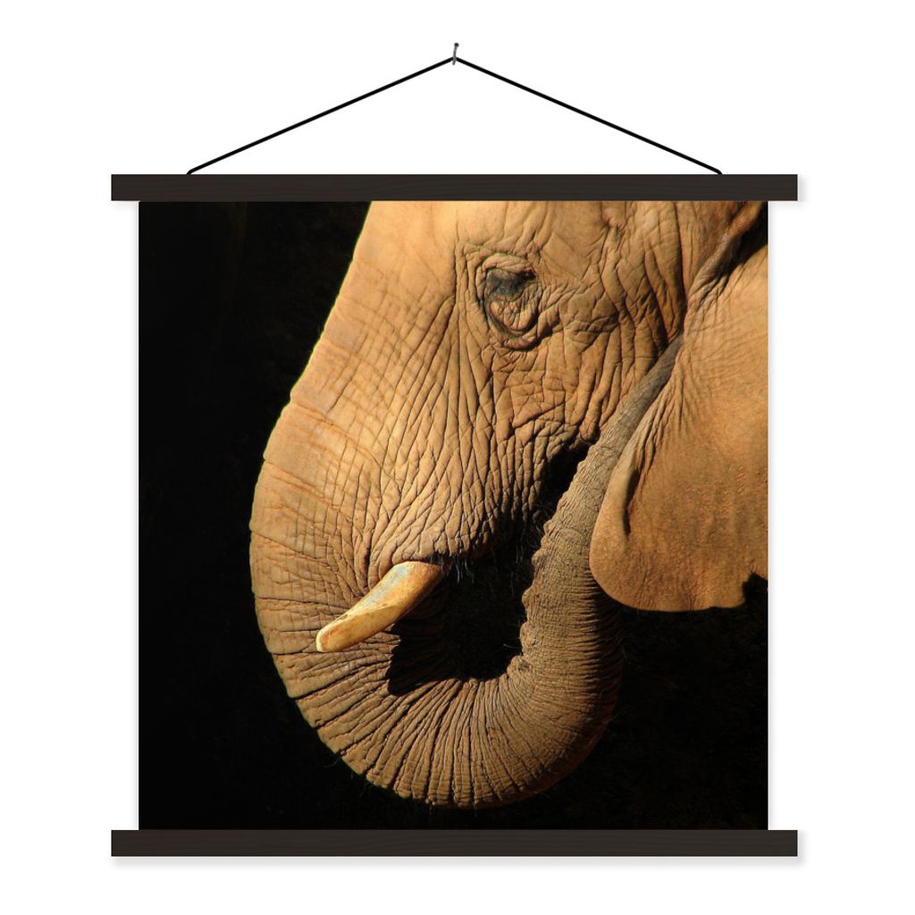 MuchoWow Textilposter Elefant - Tiere - Nahaufnahme - Schwarz 40x40 cm mit schwarzem Rahmen - Fotos