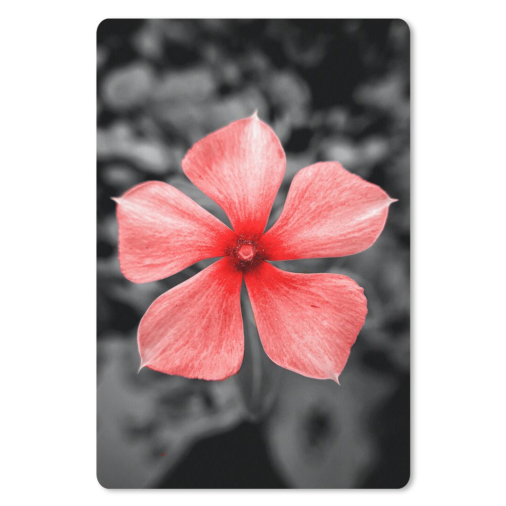 MuchoWow Mauspad Mousepad Blumen - Rot - Schwarz - Weiß 40x60 cm - Mousepads - Maus Mat - Pad - Mausunterlage - Schreibtisch Accesoire