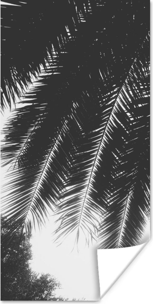 MuchoWow Poster Palmenblätter - Tropisch - Sonne - Palme 75x150 cm - Dekoration für die Wände