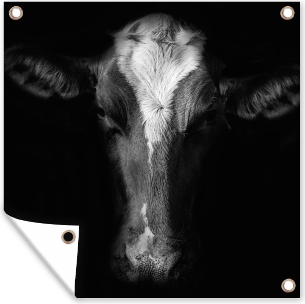 MuchoWow 50x50 cm Outdoor-Poster Gartendeko Sichtschutz Garten Poster für den Garten Kuh Porträt auf schwarzem Hintergrund in schwarz und weiß