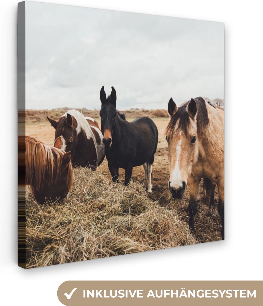 MuchoWow - Leinwandbilder - Tiere - Pferd, Wandbild, Wanddeko Bilder Wohnzimmer, 50x50 cm