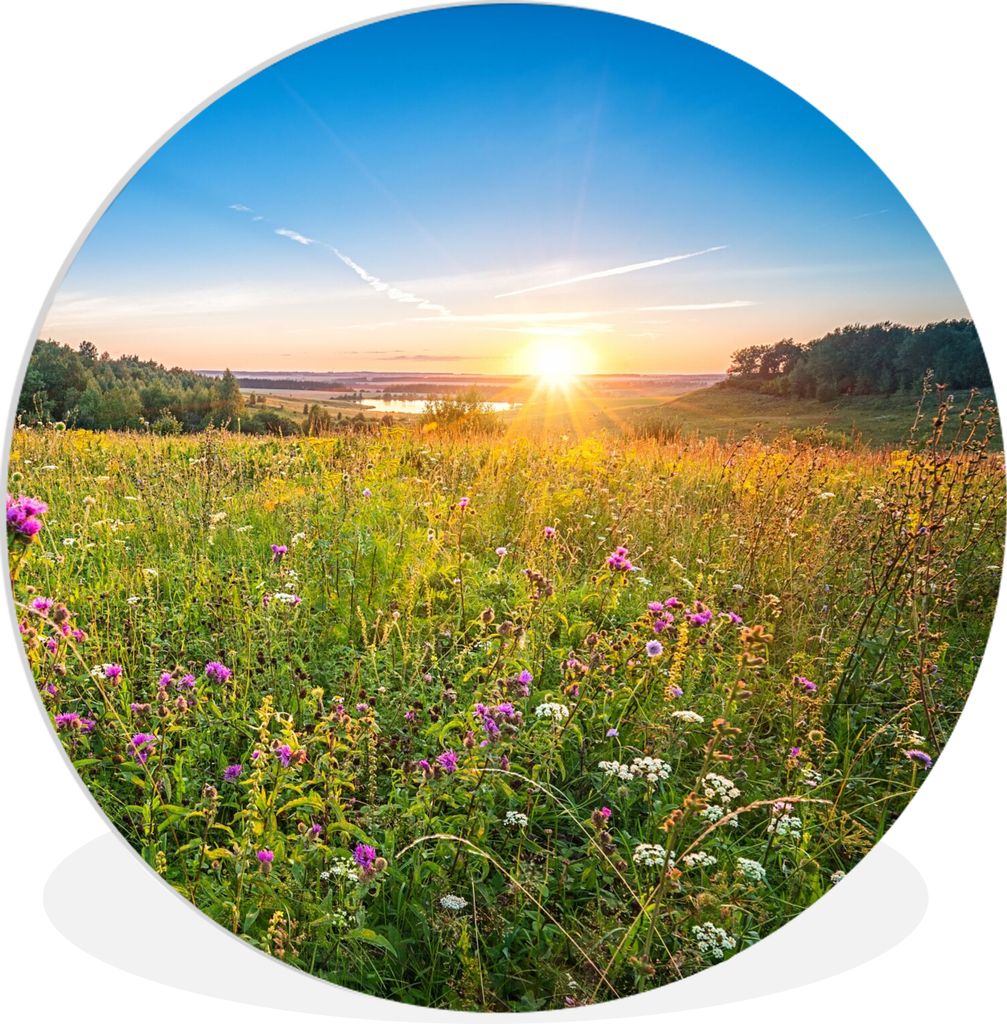 MuchoWow Rundes Wandbild - Runde Bilder Sonne - Gras - Blumen Ø 90 cm Kreis Wanddekoration Kunststoff - Wandkreis - Wandschmuck - Wand-Kreis - W...