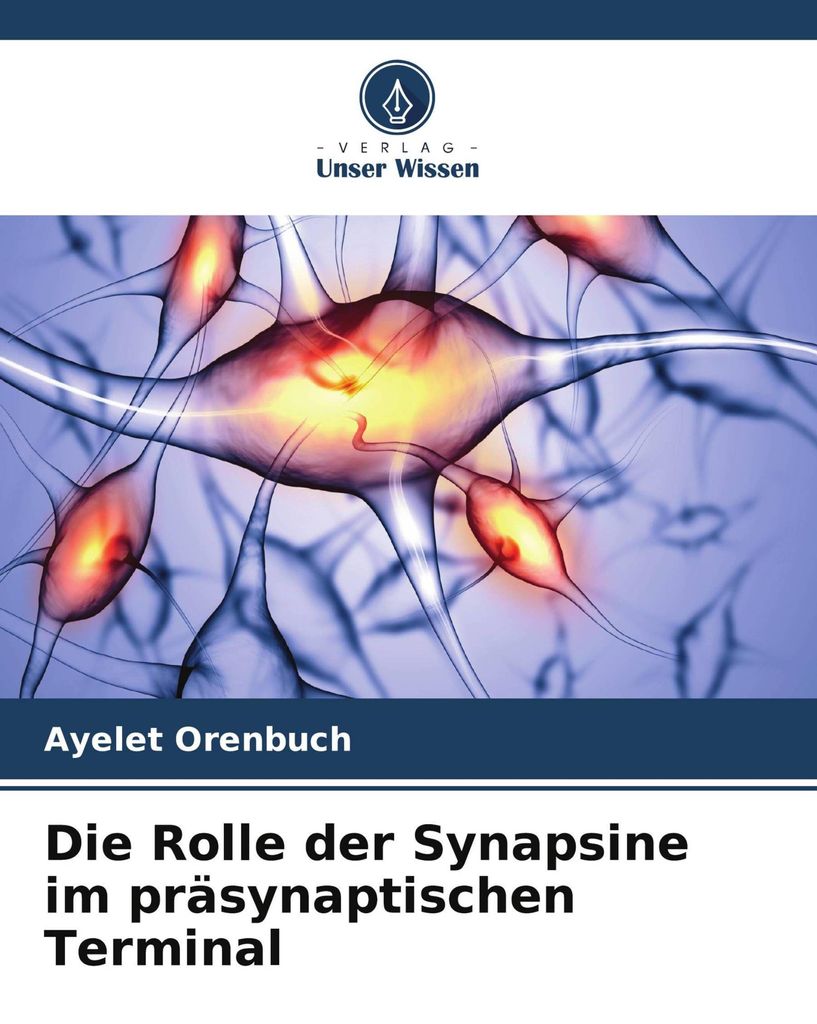 Die Rolle der Synapsine im präsynaptischen Terminal