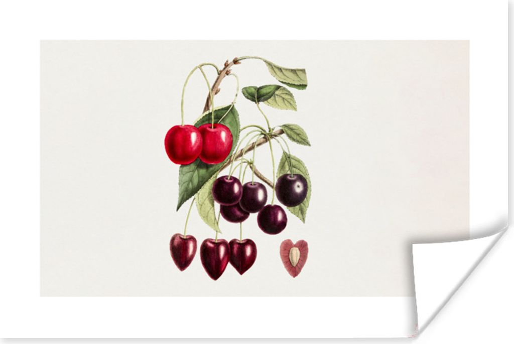 MuchoWow Poster Lebensmittel - Kirsche - Herz 60x40 cm - Schlafzimmerdekoration