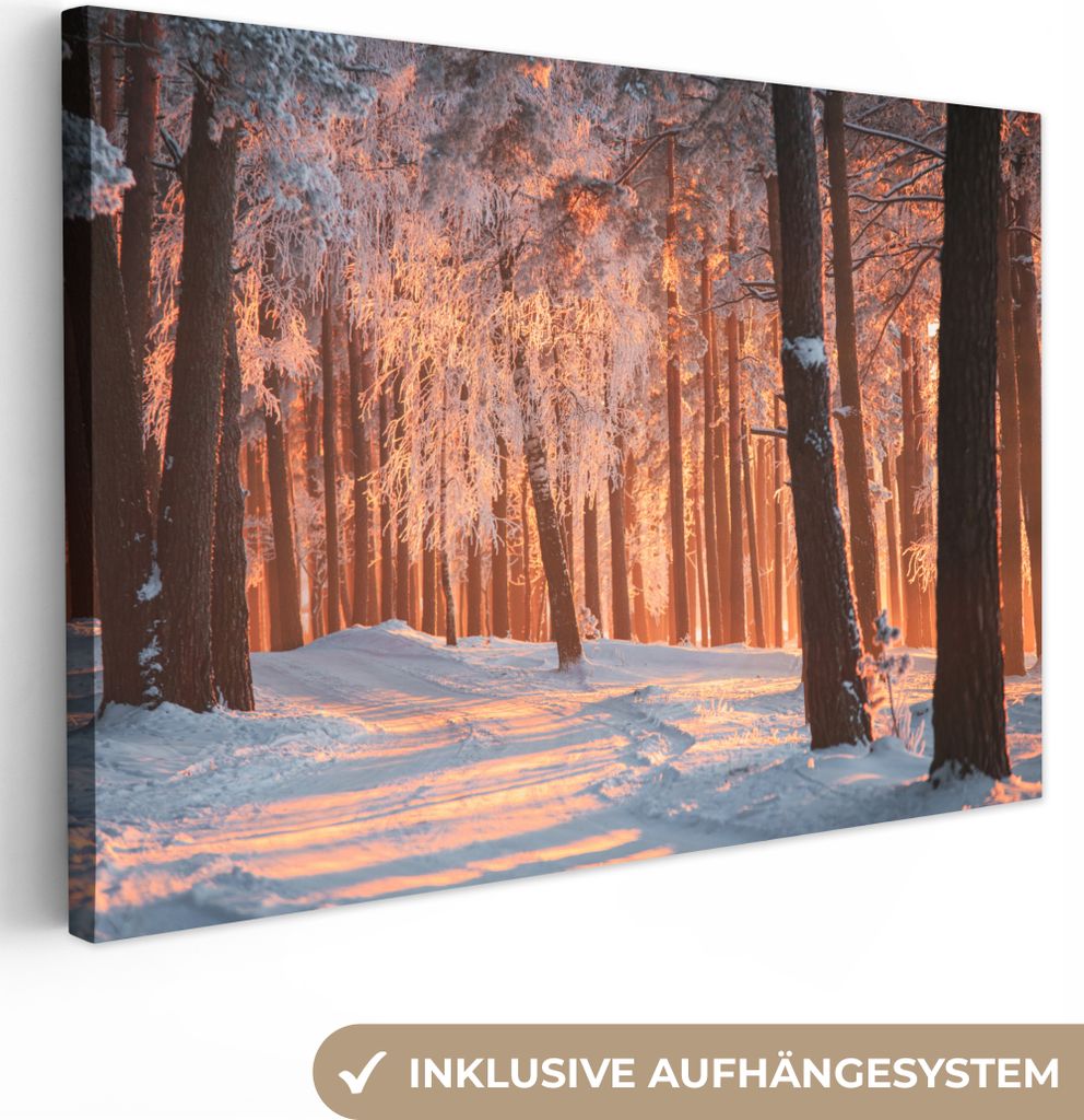 OneMillionCanvasses - Leinwandbilder - 150x100 cm, Winter - Wald - Baum, Wandbilder Kunstdruck Wanddekoration