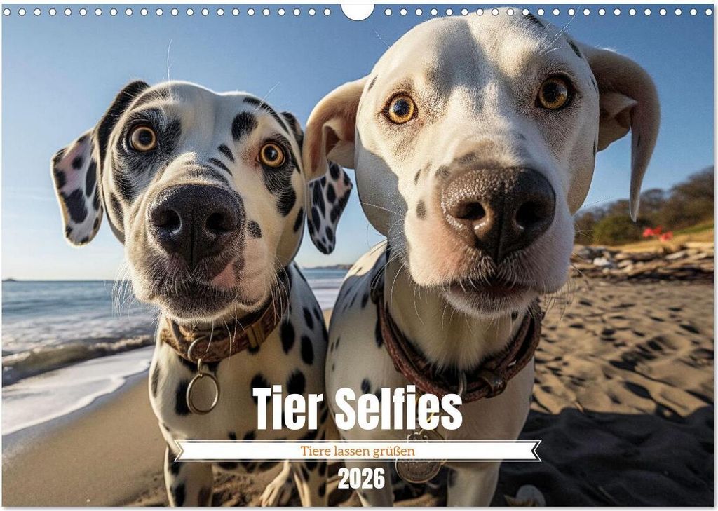 Tier Selfies (Wandkalender 2026 DIN A3 quer), CALVENDO Monatskalender