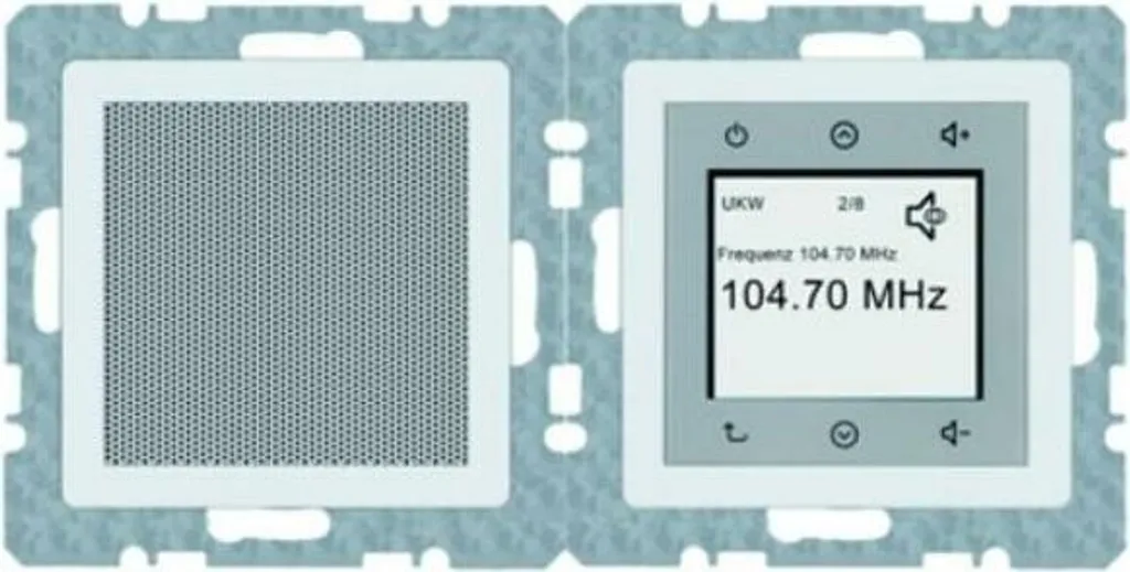 Radio Numérique DAB+ Berker Q.X 29806089 Finition Velours Blanc