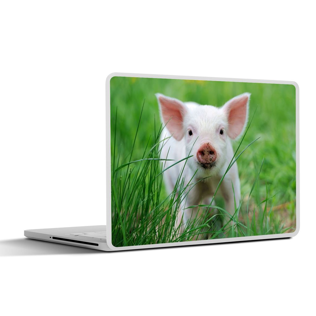 MuchoWow Laptop Aufkleber Sticker Cover Schwein - Tiere - Groß 30x22 cm - Laptop-Sticker