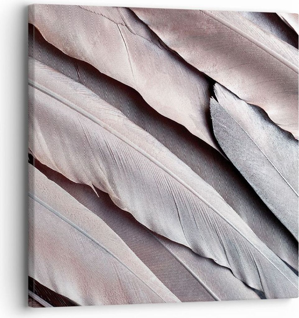 Bild auf Leinwand - Leinwandbild - Einteilig - Federn Flügel Feder - 30x30cm - Wand Bild - Wanddeko - Wandbilder - Leinwanddruck - Bilder - Wandde...