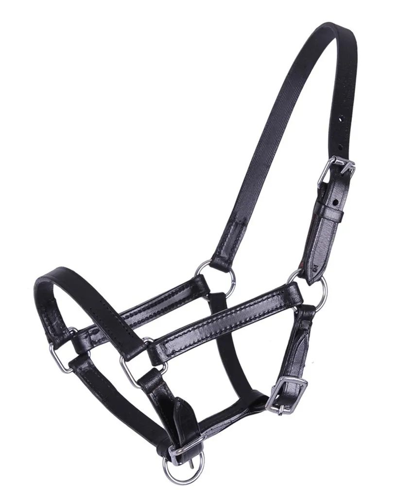 Licol cuir souple QHP Chico pour poulain avec bouclerie en acier inox
