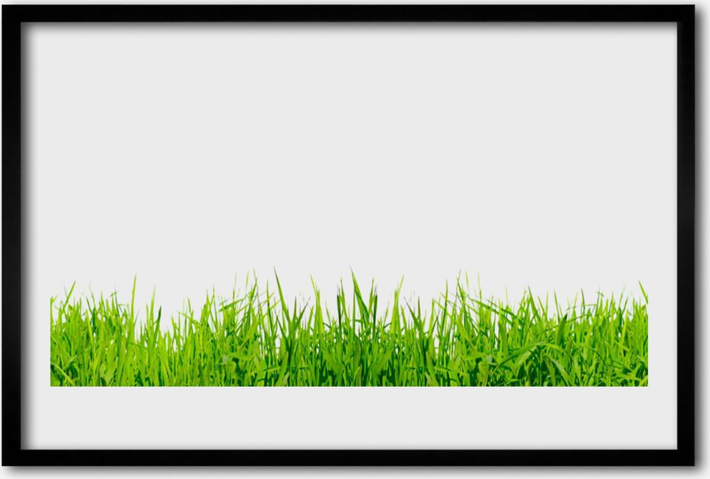 Bild 60x40 MDF-Rahmen Wandkunst Gras Natur Pflanze Produktbild 