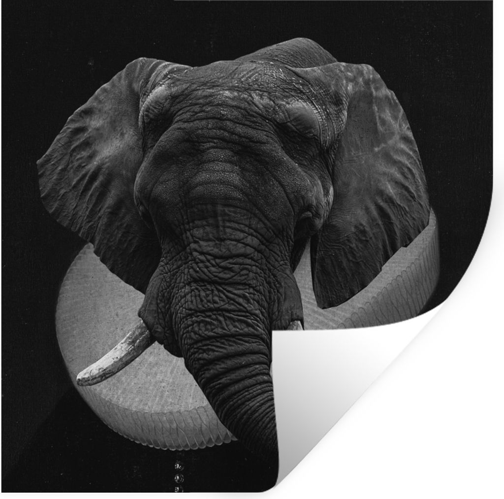 MuchoWow Wandtattoo Wandsticker Wandaufkleber Gemälde - Elefant - Schwarz - Weiß 100x100 cm Selbstklebend und Repositionierbar - Wierderverwend...