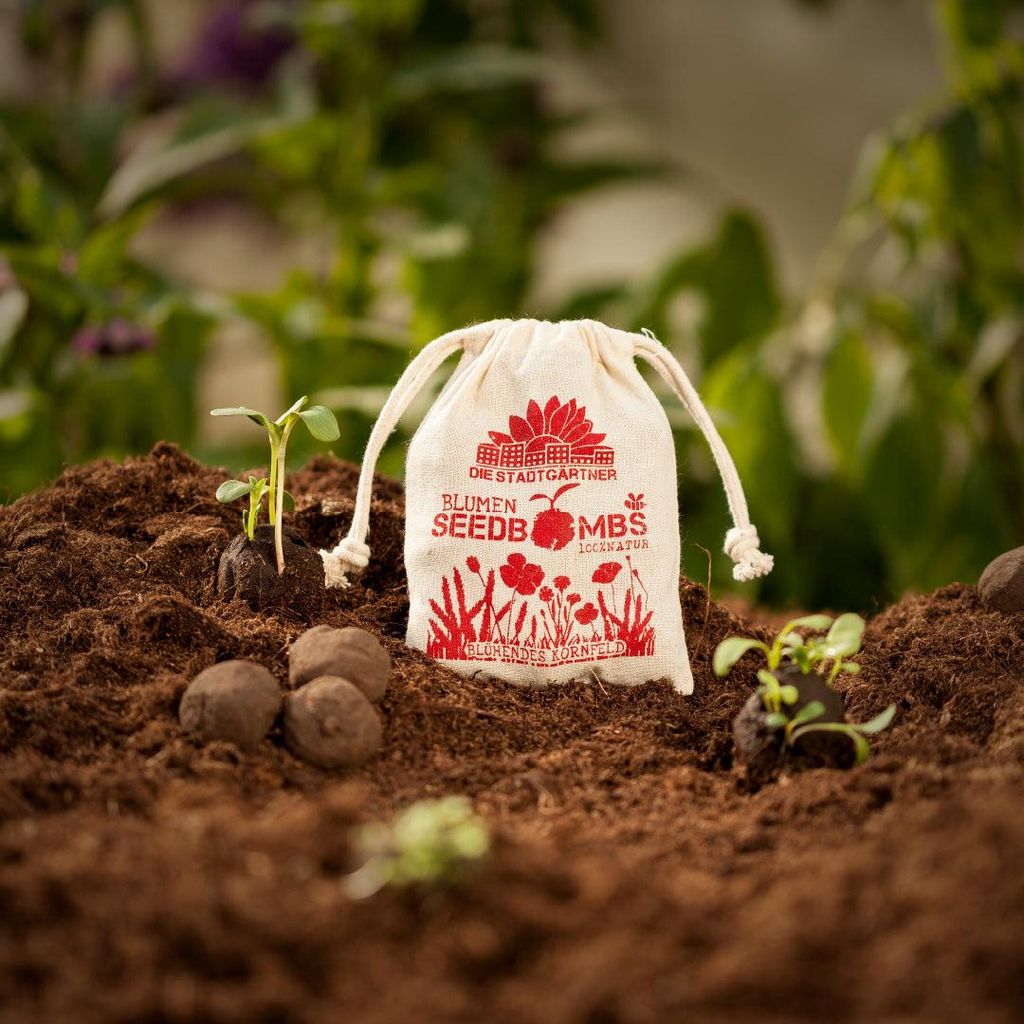 Samenbomben 8 Stück Wildblumen Set Seedbombs Geschenk bienenfreundlich Saatgut