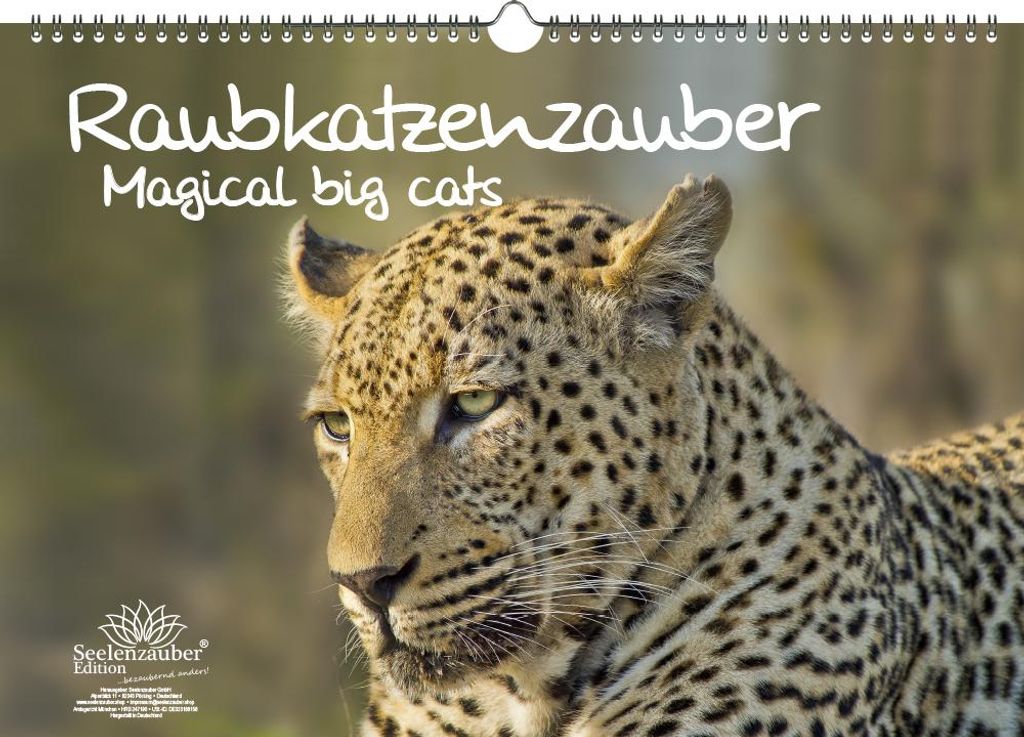 Raubkatzenzauber Immerwährender Kalender DIN A3 verschiedene Raubkatzen - Seelenzauber