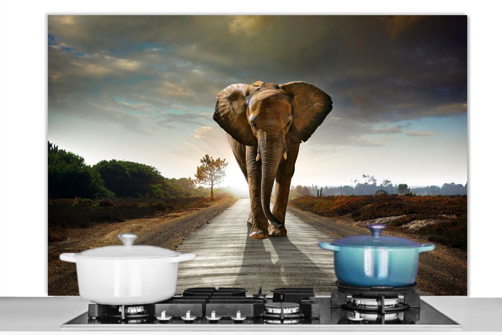 KitchenYeah Spritzschutz Küche - Küchenrückwand - Wandschutz für Herd und Spüle - Elefant - Straße - Tiere - Sonnenuntergang - Landschaft ...