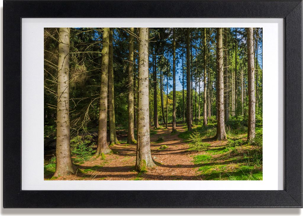 Bild 30x20 MDF-Rahmen, Wandkunst Panorama Wald