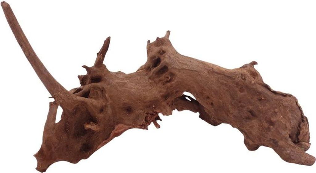 L Driftwood Flußwurzel Nr.3900 Holz Deko Aquascaping