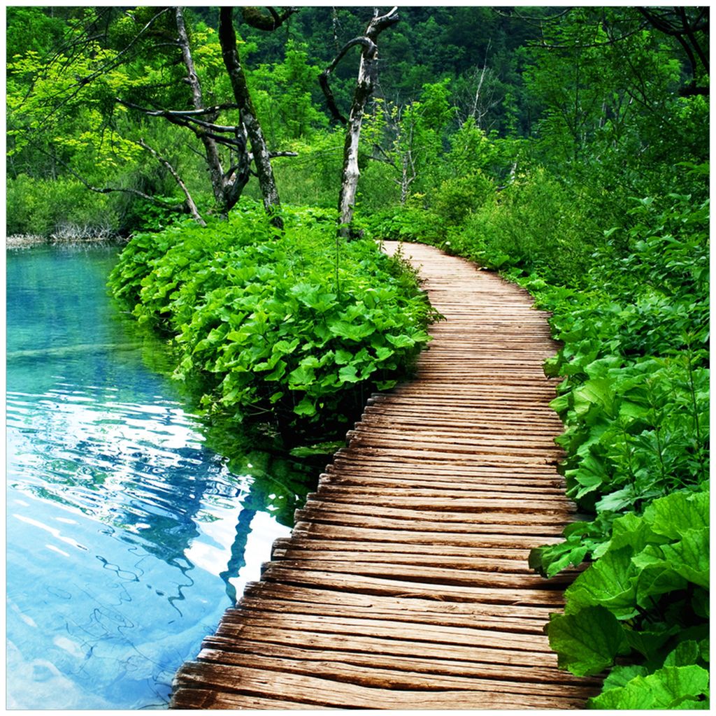 Wallario Möbeldesign / Aufkleber, geeignet für Ikea Lack Tisch - Holzweg im Wald in 55 x 55 cm