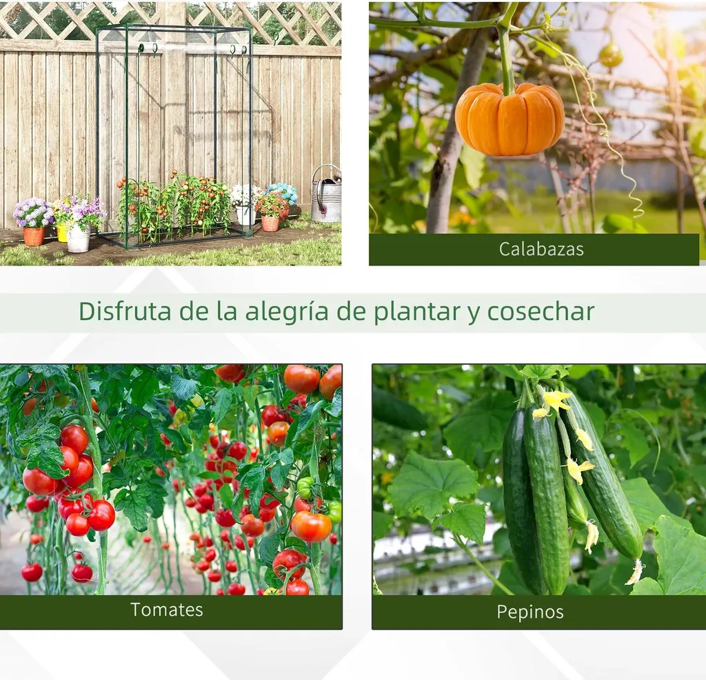 Petite serre transparente 150cm de haut avec structure métal durable - 8