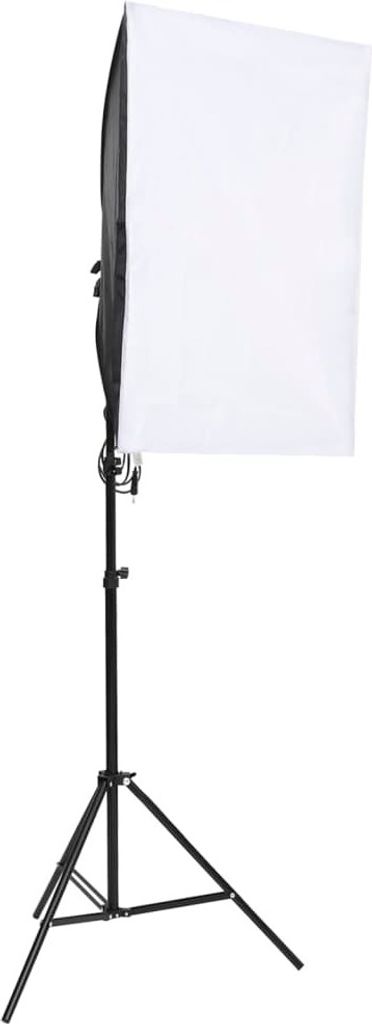vidaXL Luci da studio professionali 2 pezzi 40x60 cm Immagine del prodotto 