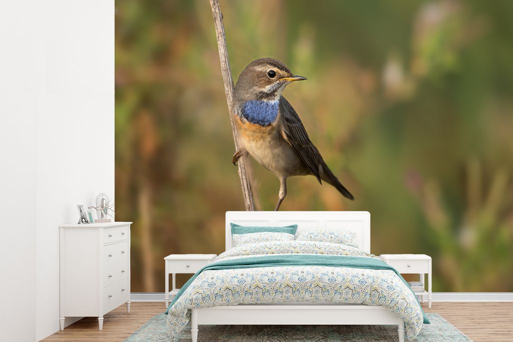 MuchoWow Fototapete für Wohnzimmer oder Schlafzimmer Wandtapete Vinyl Motivtapete Blaukehlchen auf Nahrungssuche - 305x220 cm - Wandbilder