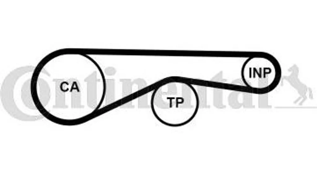 Courroie de distribution CT1194 Continental pour VW Touareg et Audi