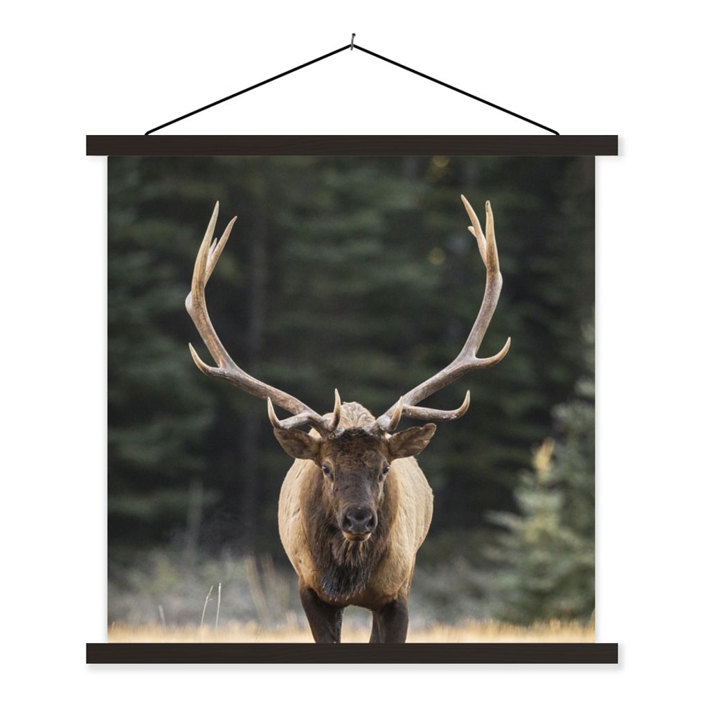 MuchoWow® Textilposter Hirsch - Baum - Geweih 60x60 cm mit Produktbild 