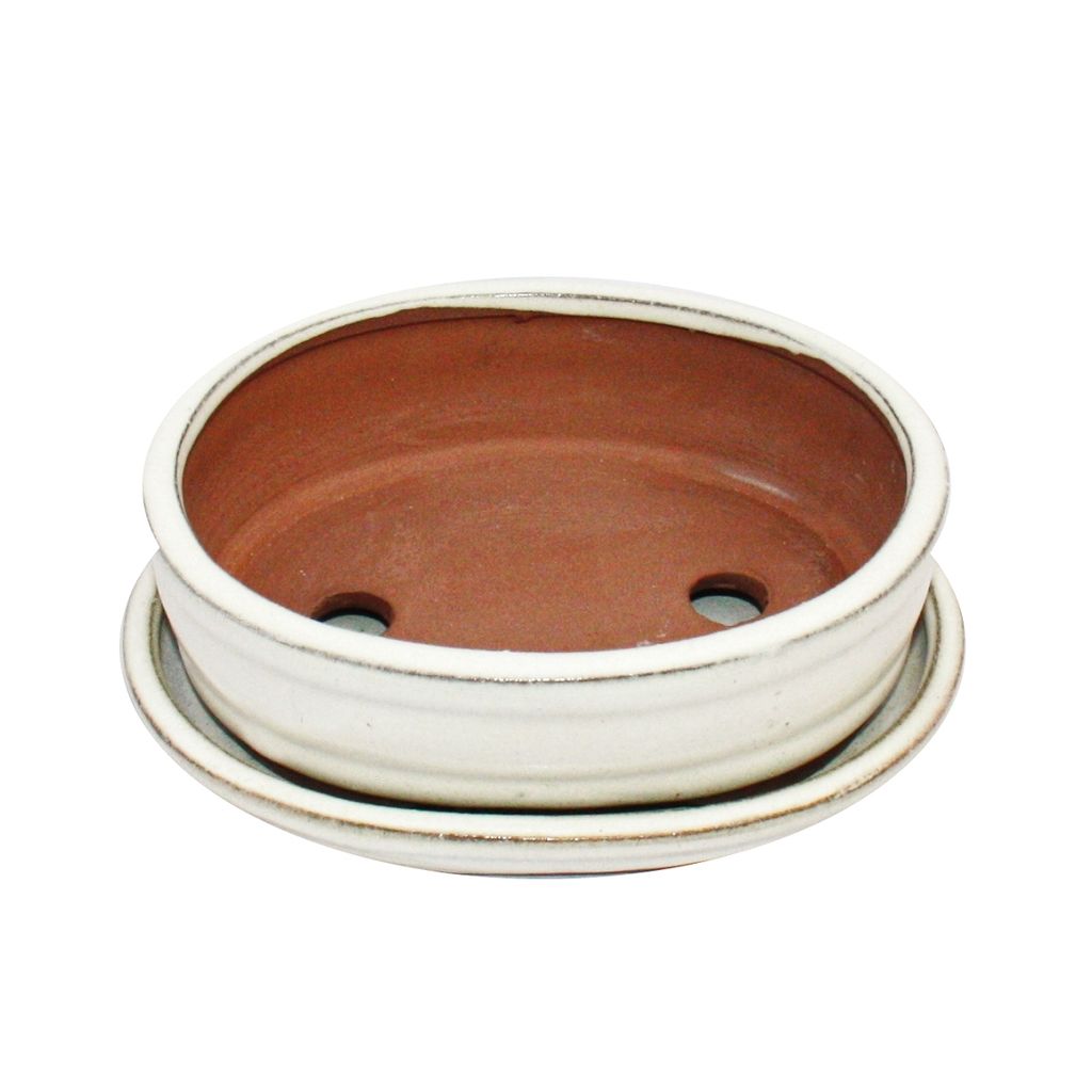 Bonsai-Schale mit Unterteller Gr. 5 - haitang I4 - hellbeige - L 31,5cm-B 26cm e