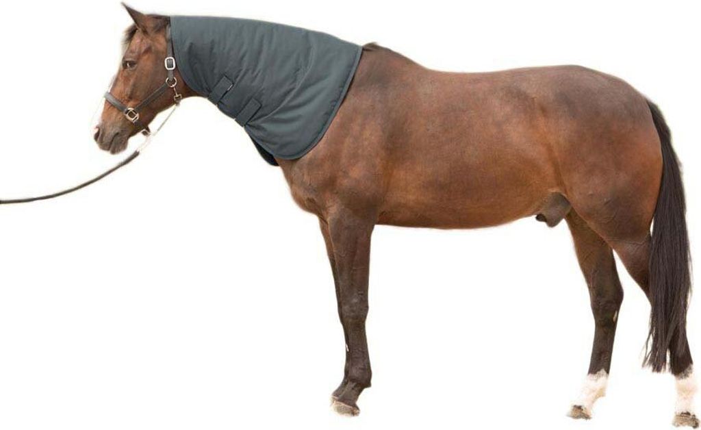 Harry ́s Horse Thor 200g Nackenschutz Braun XL Braun XL