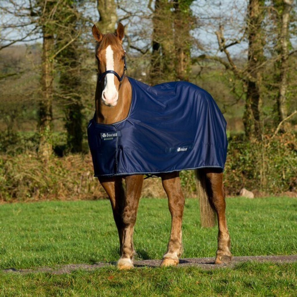 Bucas Multifunktionsdecke Shamrock Power Navy/Silver 100