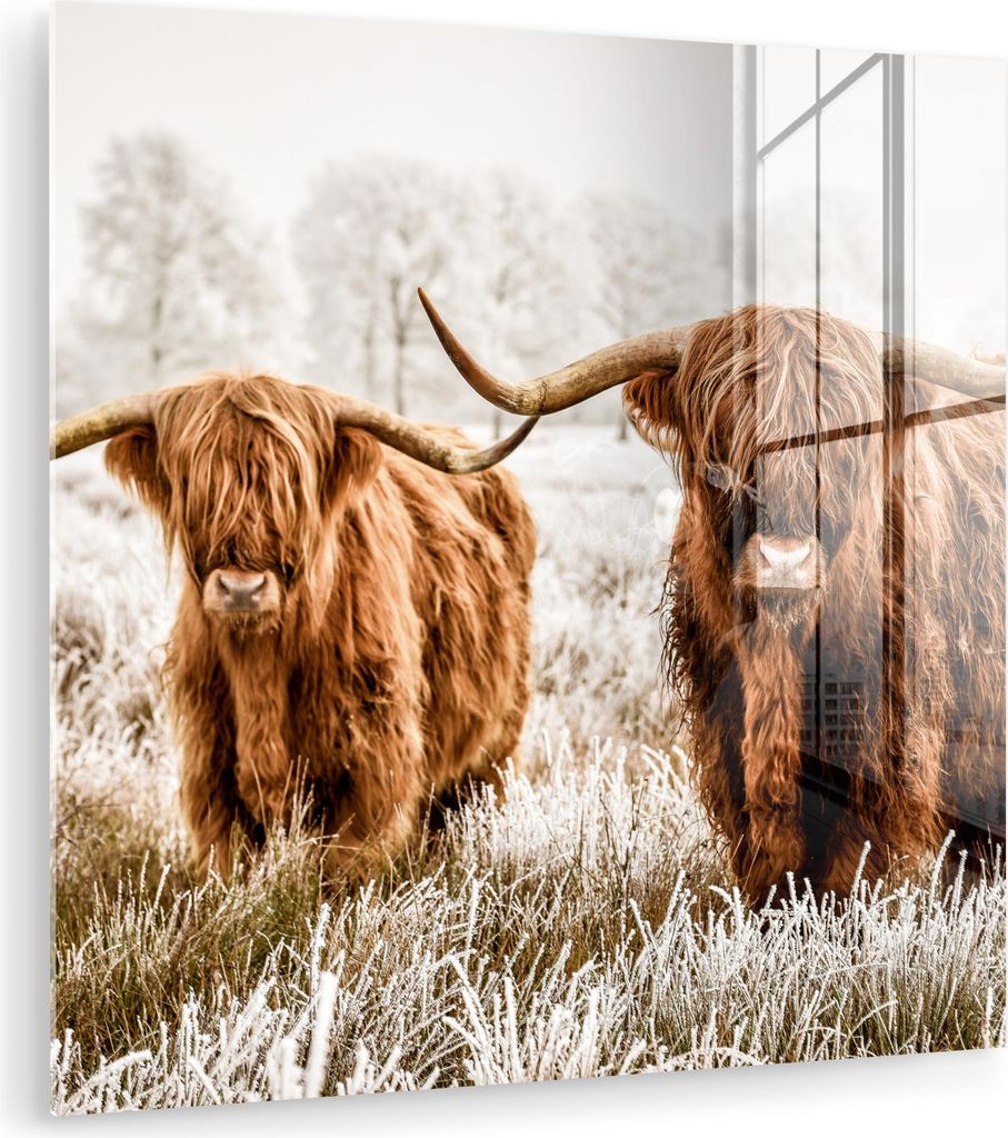 MuchoWow Glasbilder - Bilder auf Wandbild - Foto auf Glas Schottisches Hochlandrind - Kuh - Natur - Winter 20x20 cm Wanddekoration aus Glas - Acryl...