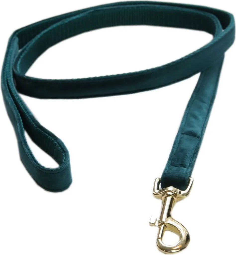 Guinzaglio Robusto Kentucky Velvet 200 cm L - Emerald Edition