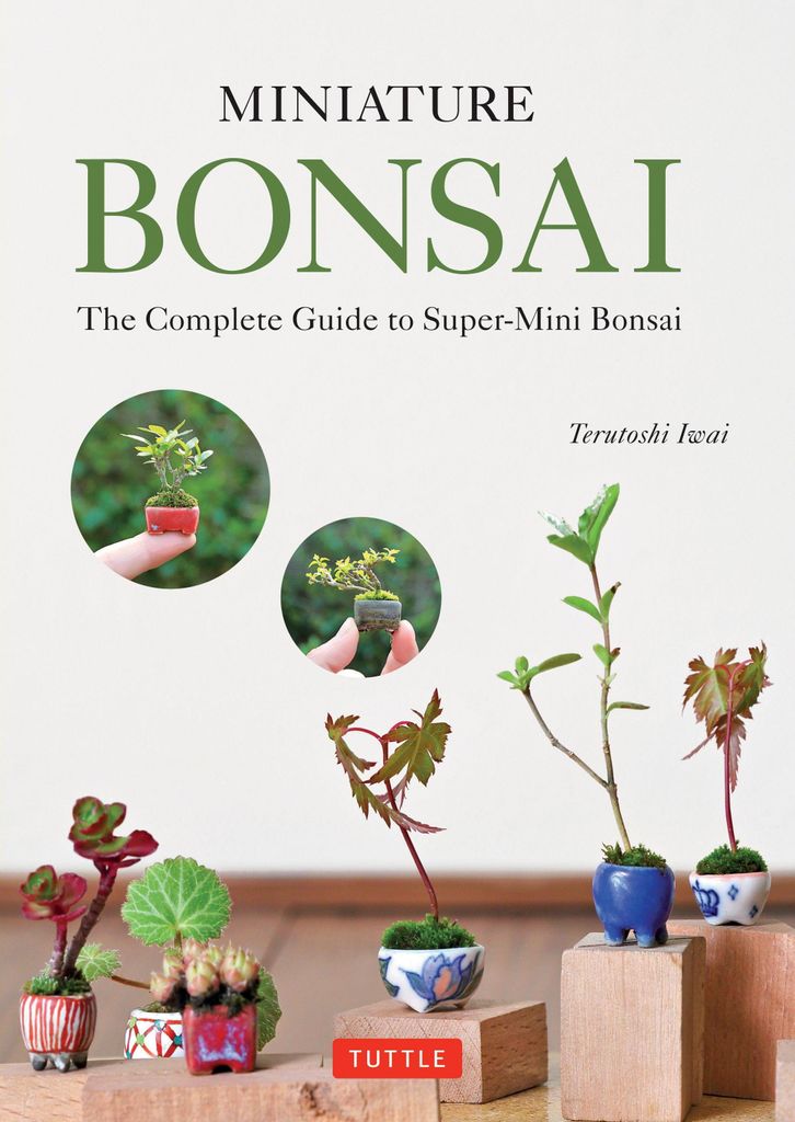 Miniature Bonsai