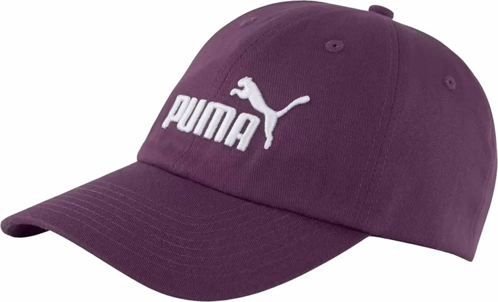 Dites Adieu au Froid avec le Bonnet Puma Ess 02435720 - Confort Garanti