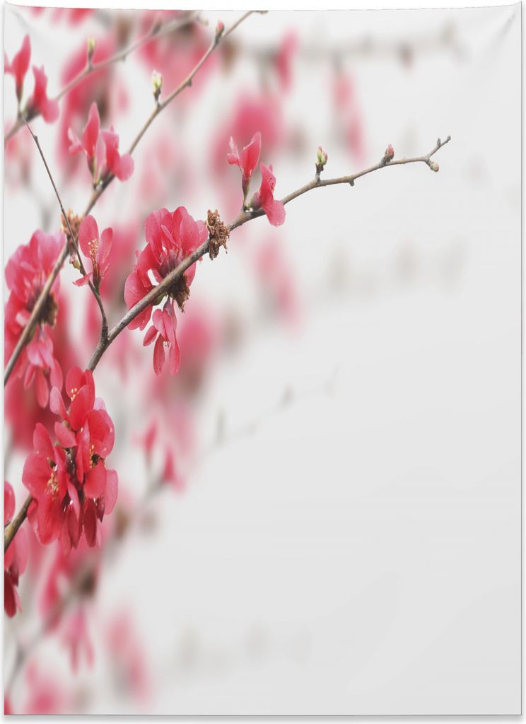 Abakuhaus japanisch Wandteppich, Kirschblüten Misty aus Weiches Mikrofaser Stoff Kein Verblassen Klare Farben Waschbar, 110 x 150 cm, Pink Weiß