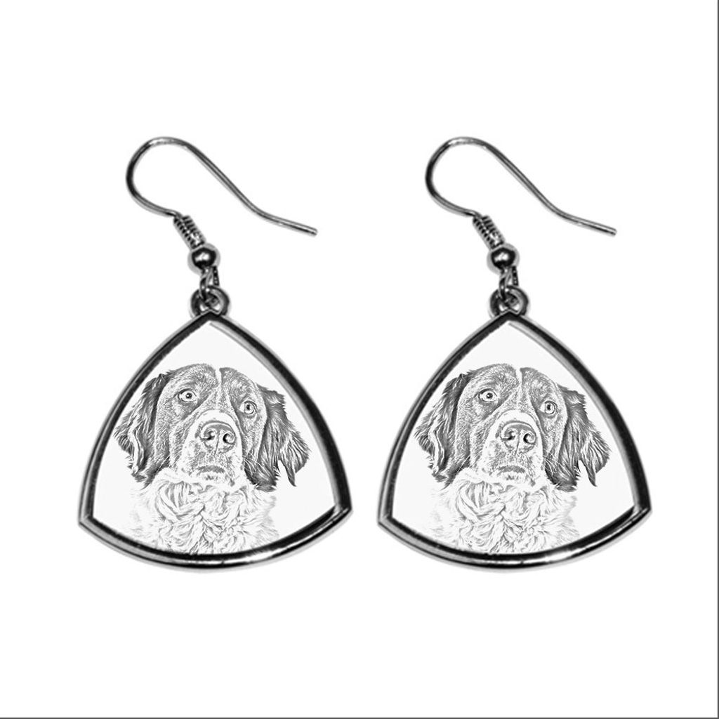 Französischer Spaniel, Epagneul Français - Hund Ohrringe, hängende Ohrringe mit Bild, personalisierter Schmuck mit dem Aufdruck der Marke Art-Dog