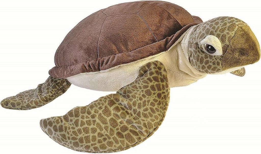 Ck Jumbo Meerschildkröte 74 Cm Produktbild 
