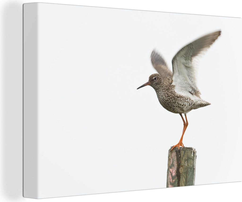 OneMillionCanvasses - Leinwandbilder - 140x90 cm, Ein Rotschenkel hebt von einem Pfahl ab, Wandbilder Kunstdruck Wanddekoration - Foto auf Leinwa...