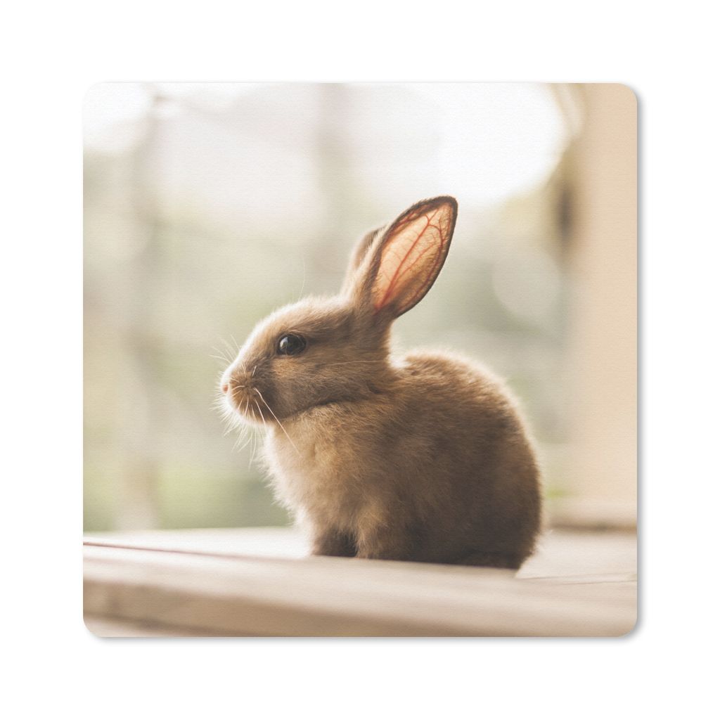 MuchoWow Mauspad Mousepad Kaninchen - Baby - Tier 20x20 cm - Mousepads - Maus Mat - Pad - Mausunterlage - Desk Mat - Bureauartikeln