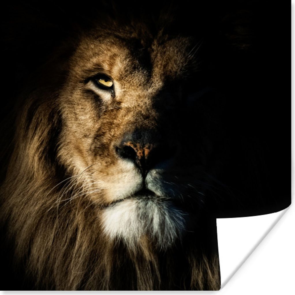 MuchoWow Poster Löwe - Licht - Porträt 75x75 cm - Wand Dekoration