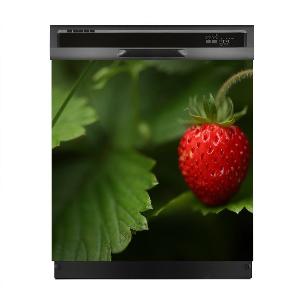 Aufkleber sticker 60x60 cm Dekorative folie Spülmaschine - Wilde Erdbeere Beere