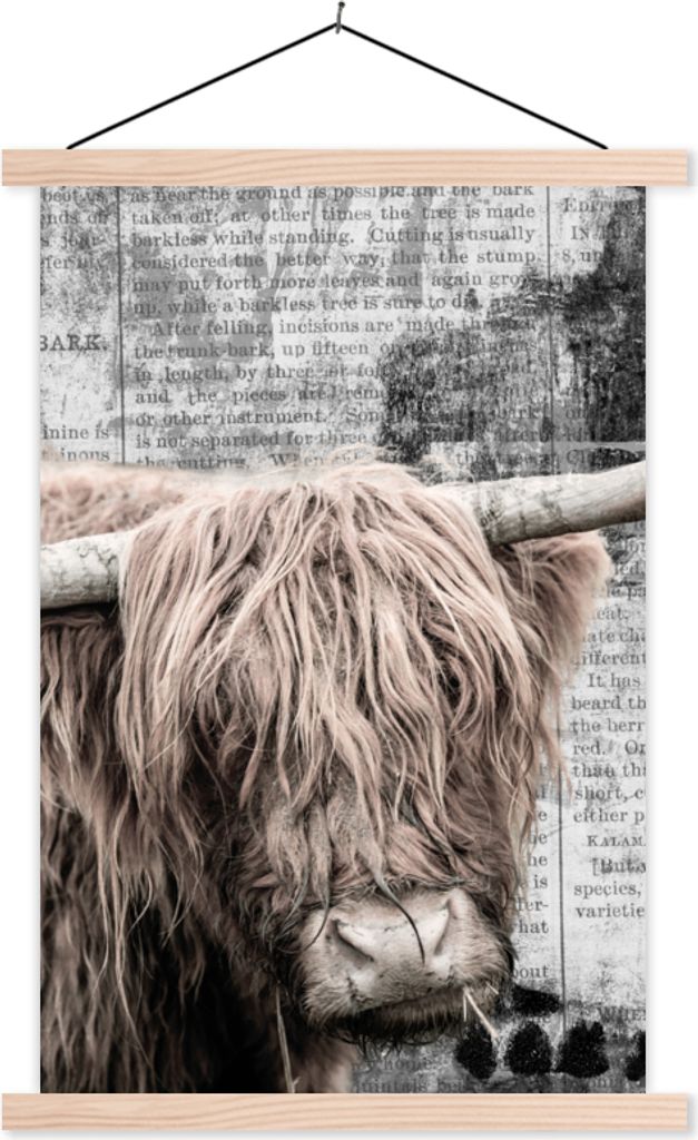 MuchoWow Textilposter Schottisches Hochlandrind - Vintage - Zeitungsartikel 60x90 cm mit holzfarbenen Rahmen - Textil