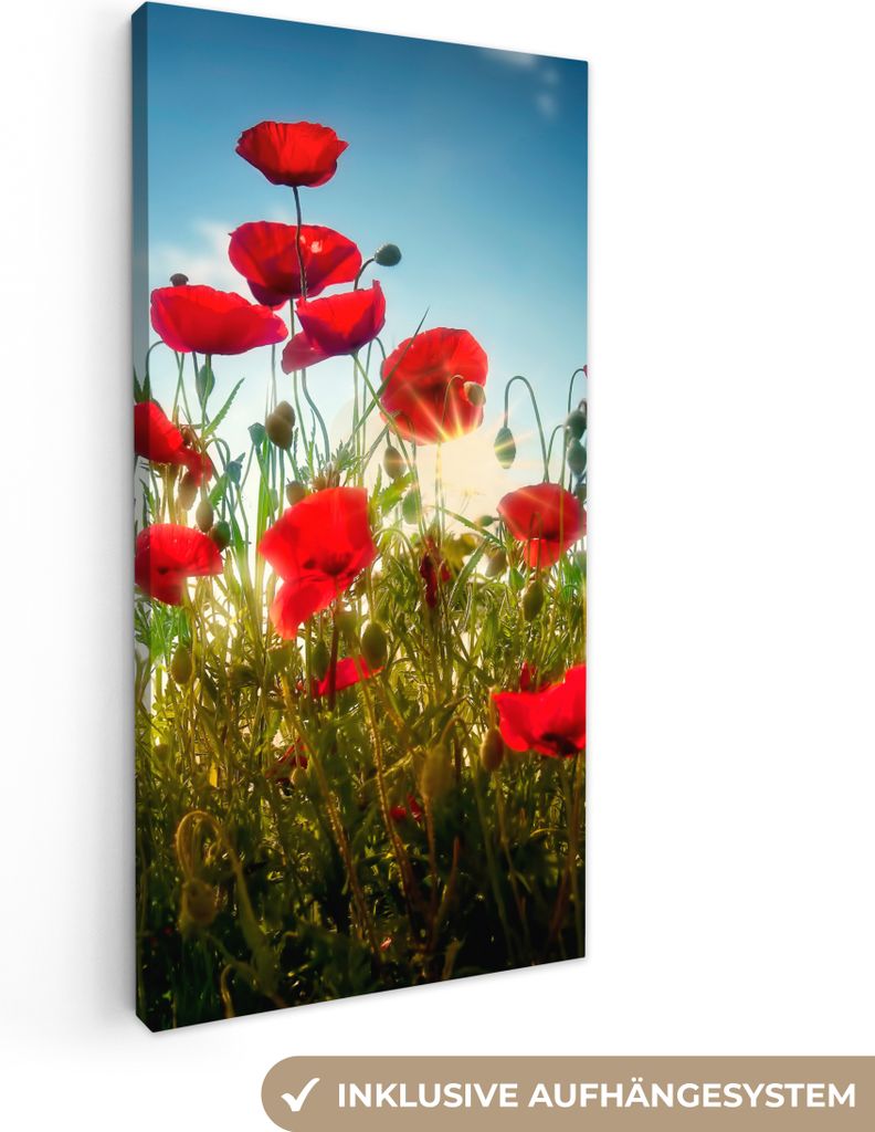 MuchoWow - Leinwandbilder - Mohnblumen - Toskana - Sonne - Rot - Blau, Wandbild, Wanddeko Bilder Wohnzimmer, 20x40 cm