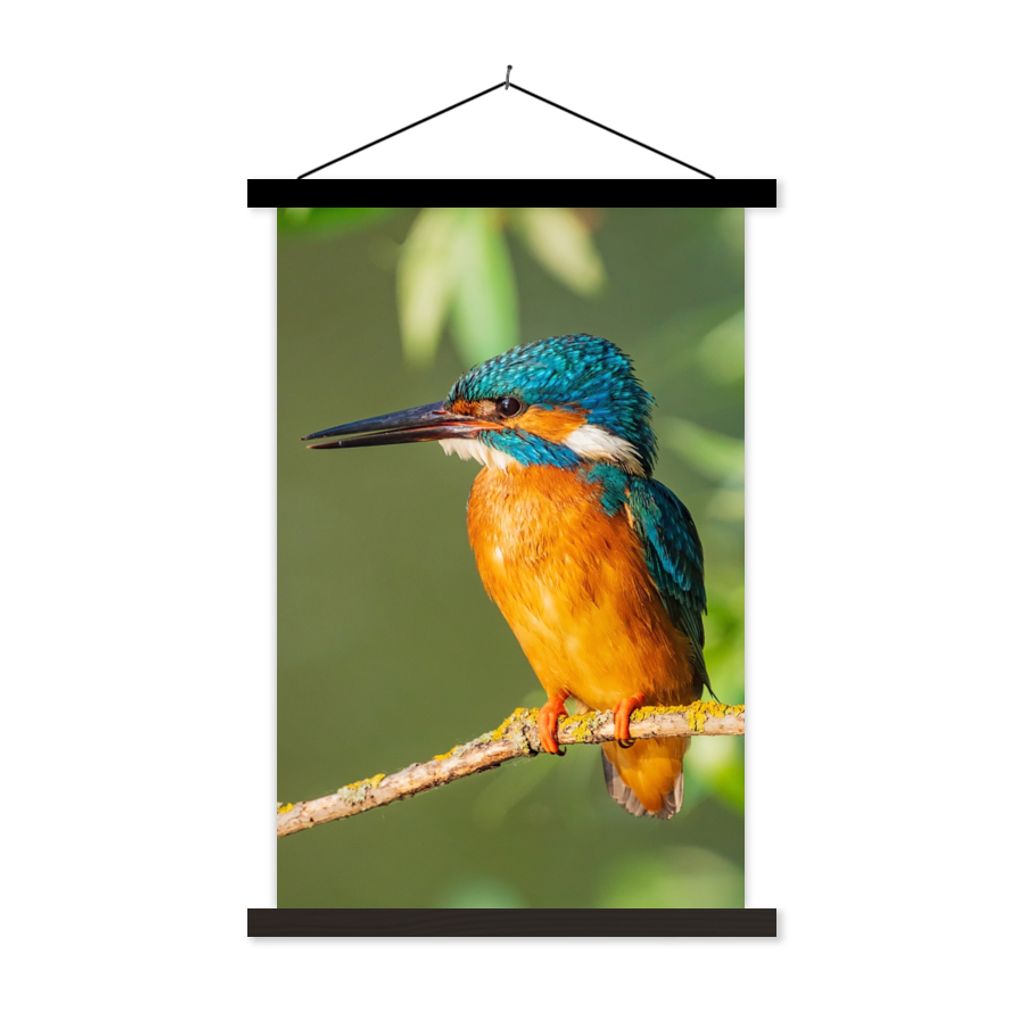 MuchoWow Textilposter Vogel - Eisvogel - Zweig - Blätter - Moos 60x90 cm mit schwarzem Rahmen - Poster Wohnzimmer