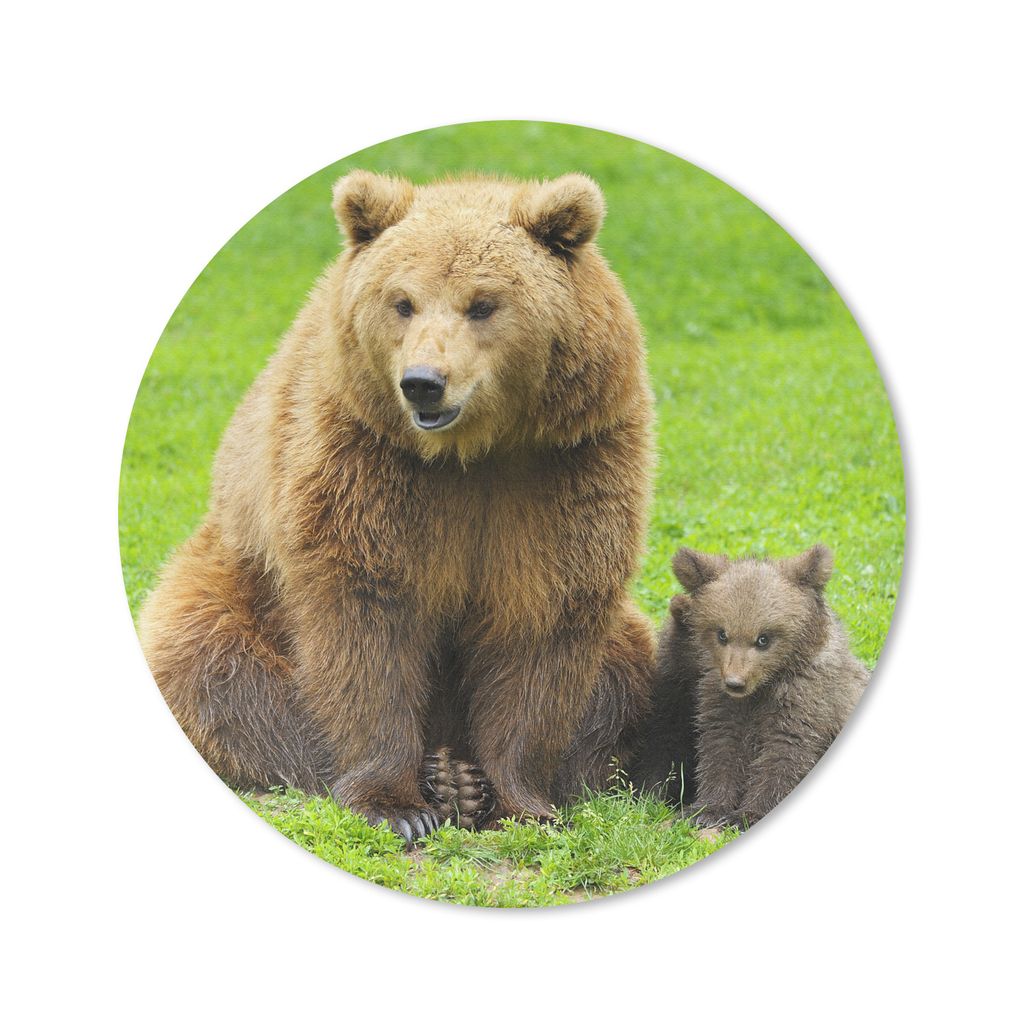 MuchoWow Mauspad Mousepad Bär - Gras - Junge 30x30 cm - Mousepads - Maus Mat - Pad - Mausunterlage - Tischunterlage - Schreibtischmatten