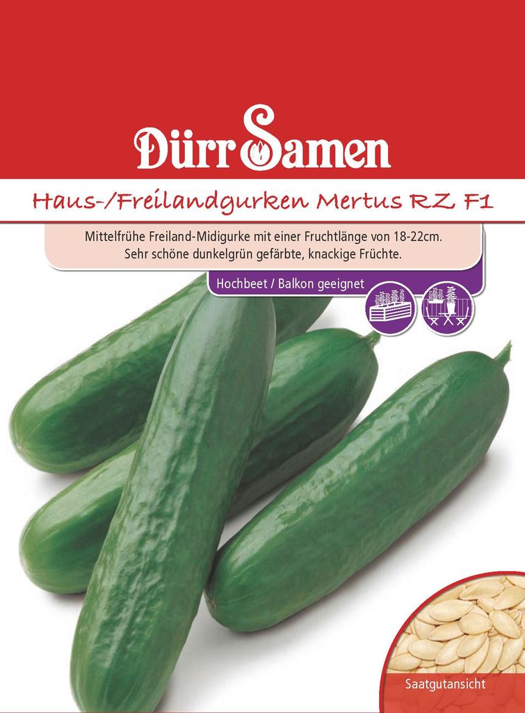Artikelbild 1 von 'Treibgurke Mertus RZ F1' aus der Kategorie Gurkensamen