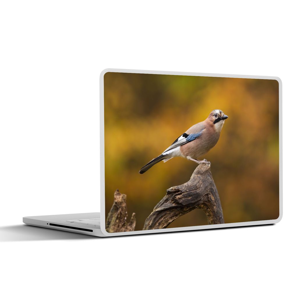 MuchoWow Laptop Aufkleber Sticker Cover Vogel - Zweig - Eichelhäher 36.5x27.5 cm - Laptop-Sticker