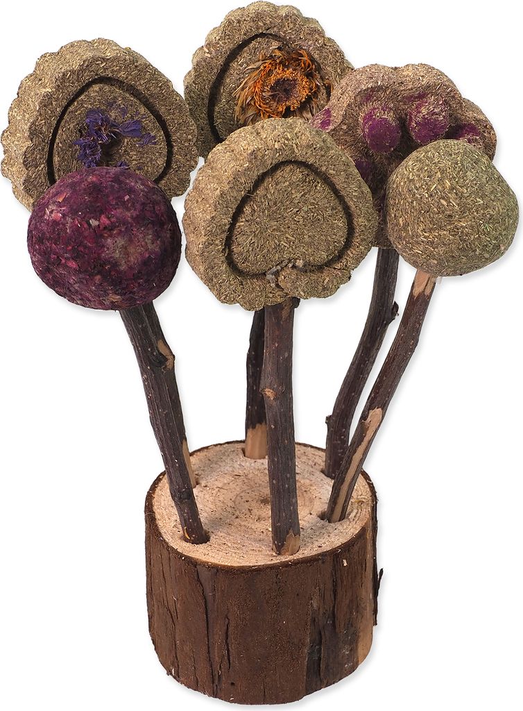 Hračka Small Animals lízátka okusovací 17cm Obrázek produktu 
